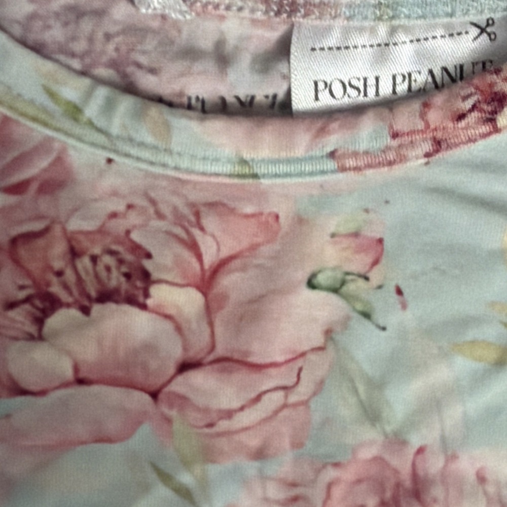 Posh Peanut Toddler Girls Sz 2T Light Floral Roses Bamboo 2pc Pajamas Pants Top - Picture 5 of 6